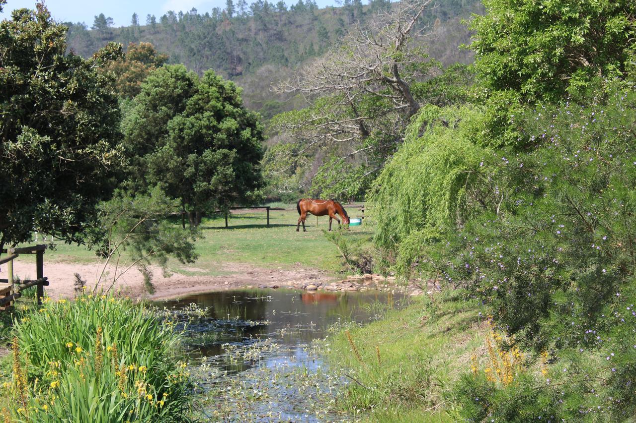 Kingfisher Cottage At Boschrivier Farm Plettenberg Bay Wittedrif 외부 사진