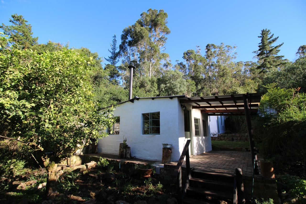 Kingfisher Cottage At Boschrivier Farm Plettenberg Bay Wittedrif 외부 사진