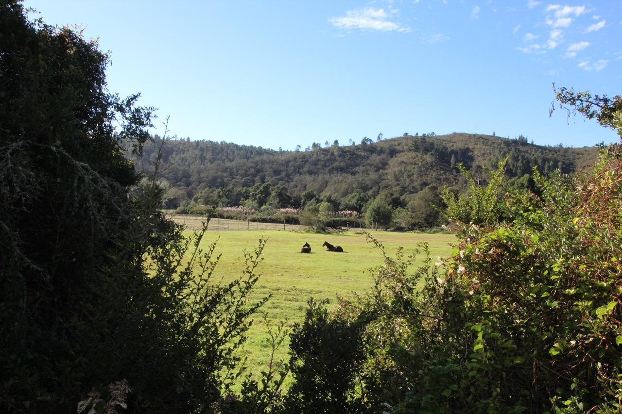 Kingfisher Cottage At Boschrivier Farm Plettenberg Bay Wittedrif 외부 사진